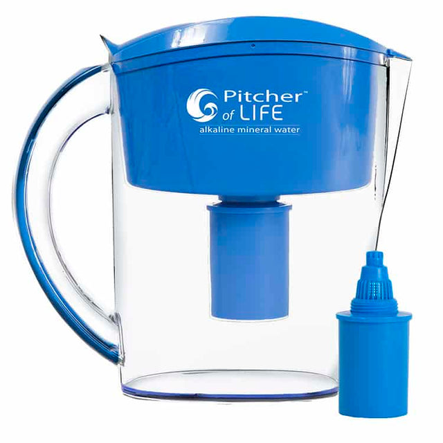 Pitcher of Life 1 Filter 1